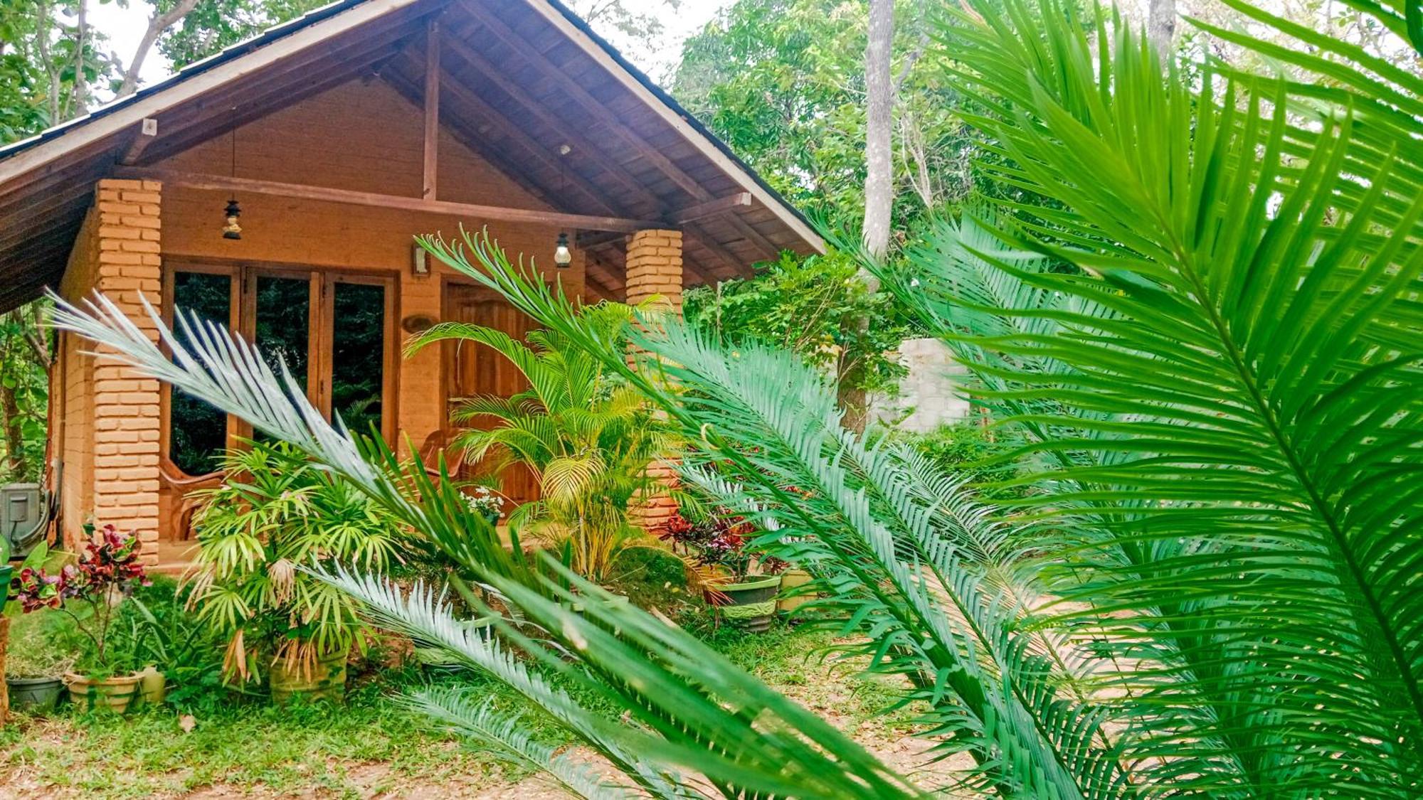 Lotus Eco Villa Sigirija Zewnętrze zdjęcie
